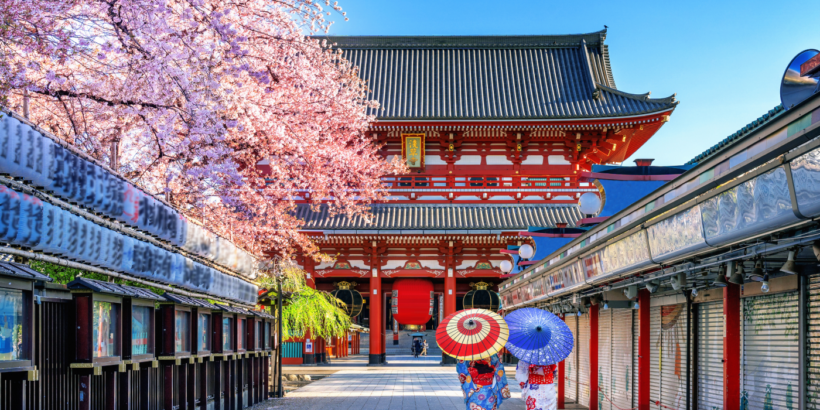 Tokyo: Private Cherry Blossom Experience - the best of ancient & modern Japan - Image 3