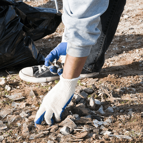 Desert Cleanup Challenges