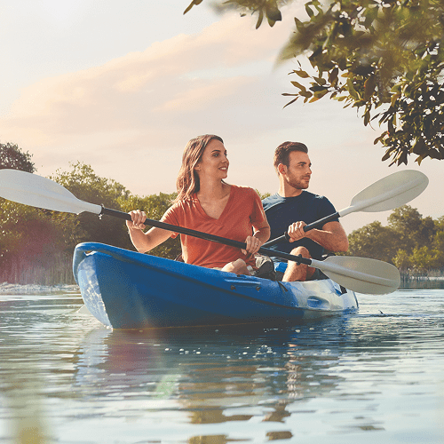 Kayaking in the Mangroves